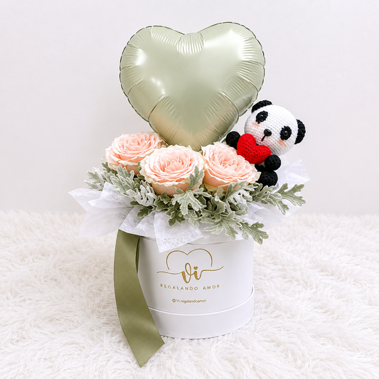 Box Arlethe Oliva con Panda
