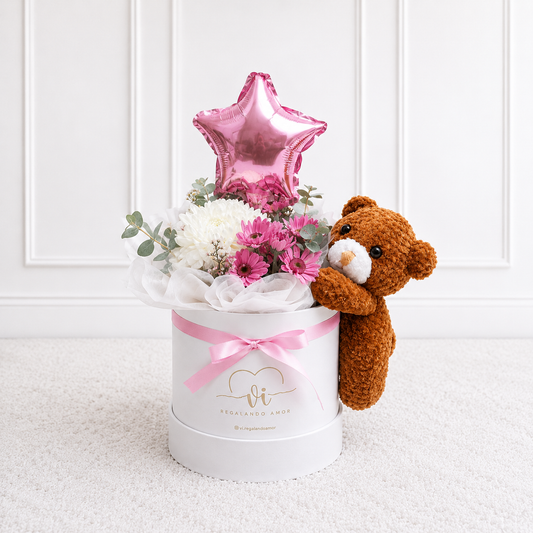 Box Aveline con Osito - Peluche