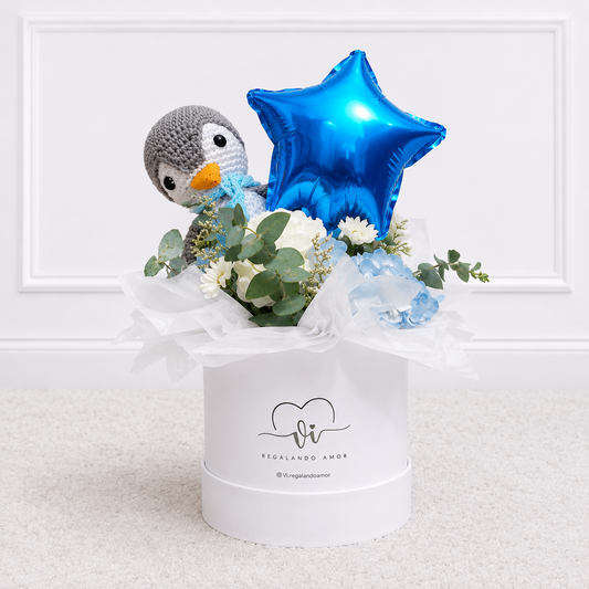 Mini box Liam - Pinguino - Peluche