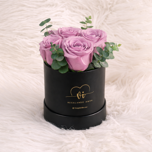 Box Eloisa de Rosas Moradas