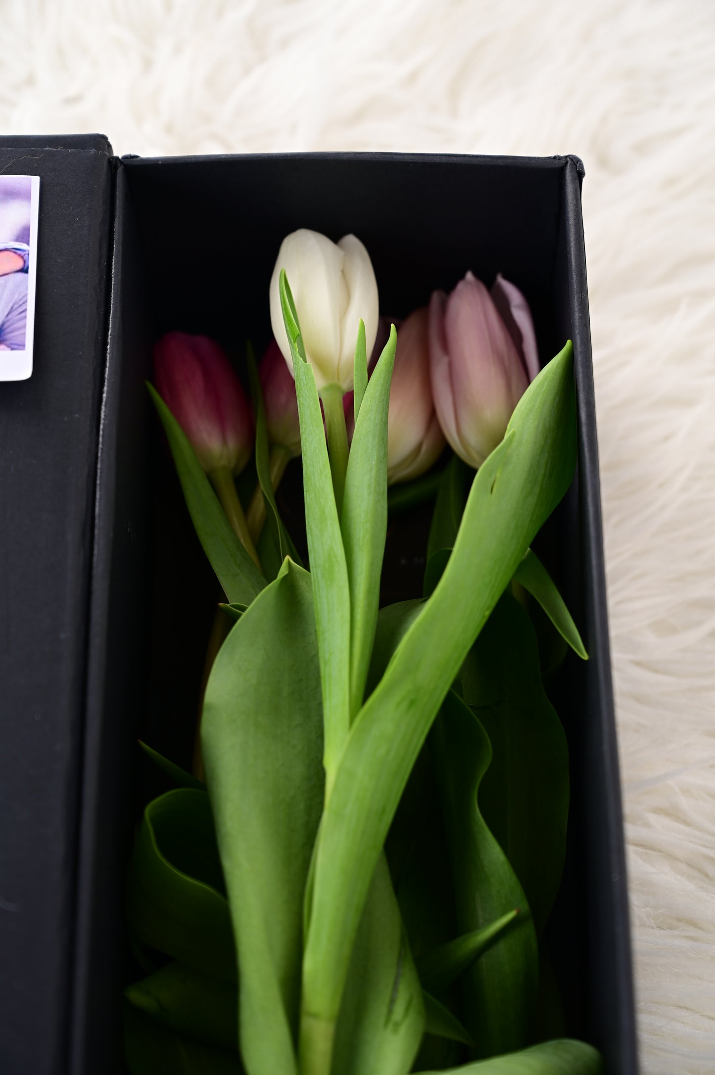 Box Luxury Tulipanes Iris