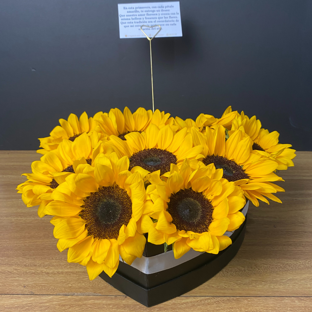 Box Gigi - Caja Girasoles