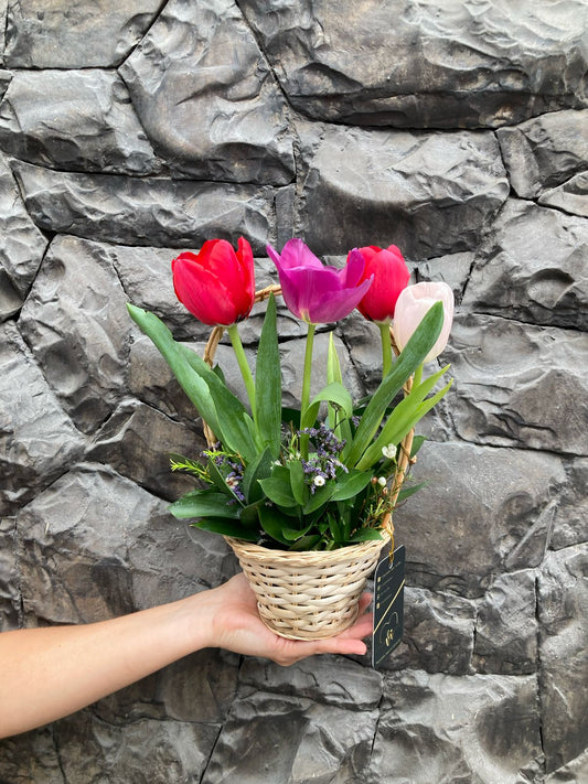 Mini Canasta de Tulipanes