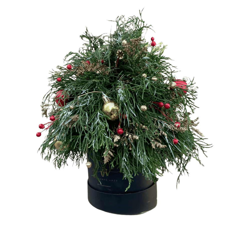 Arreglo Floral Bosque Iluminado - Arreglo floral