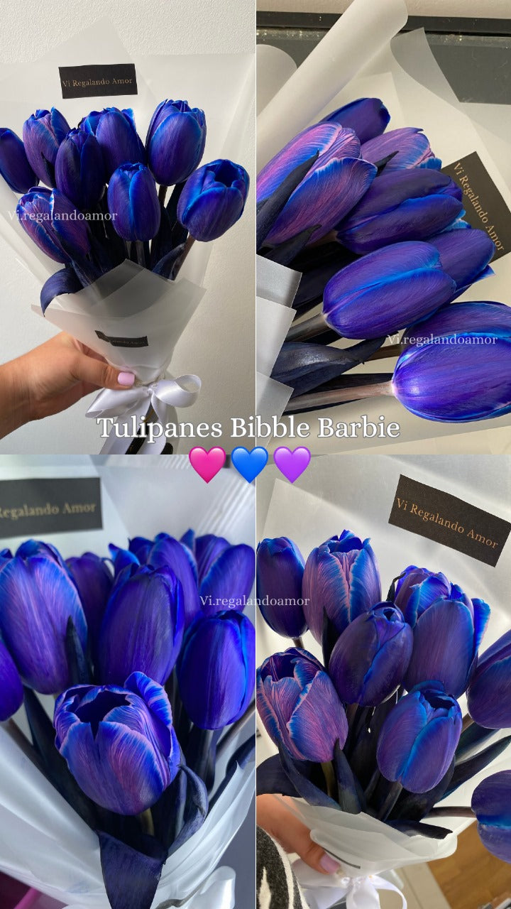 Ramo 10 tulipanes - Bibble