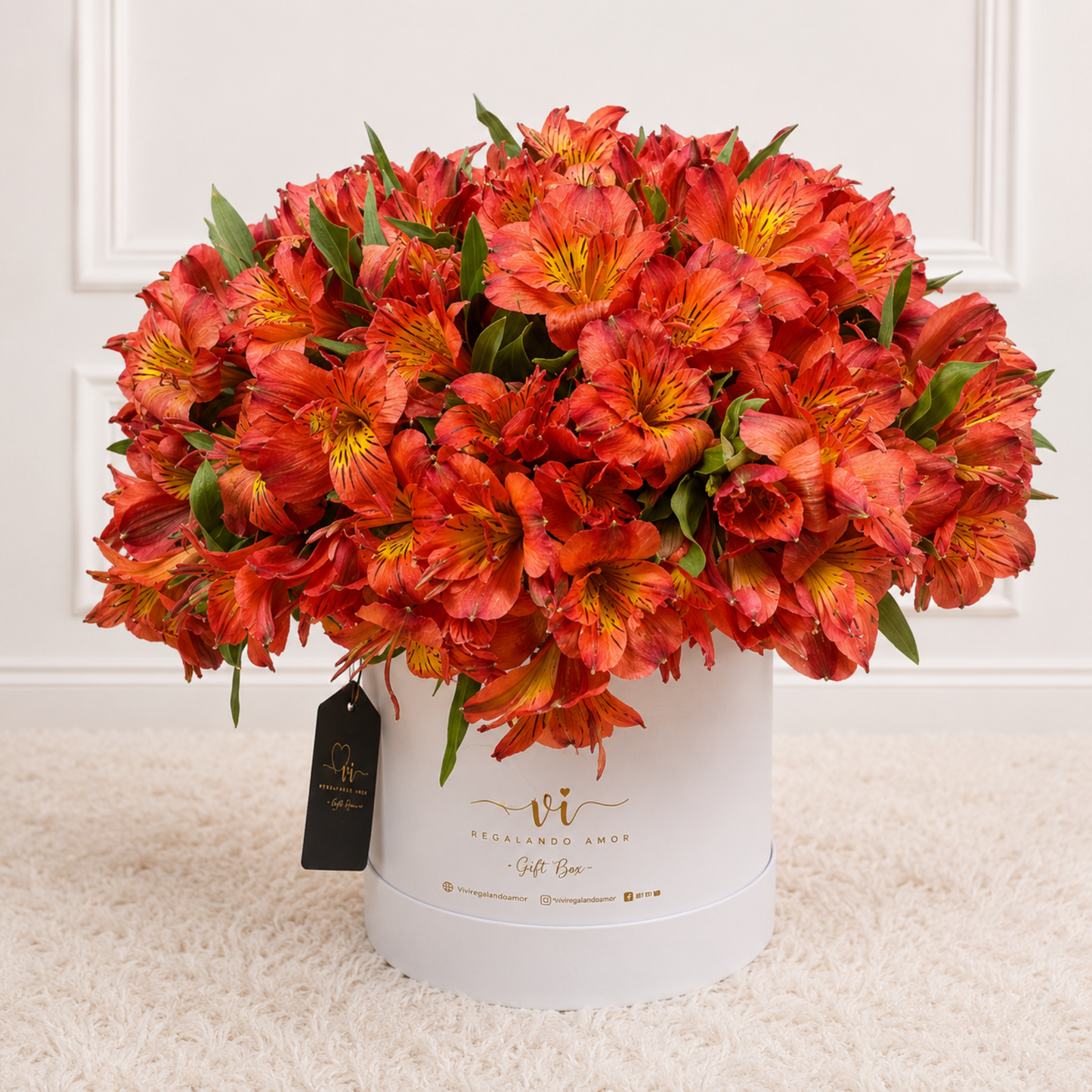 Big Box Floral Astromelia