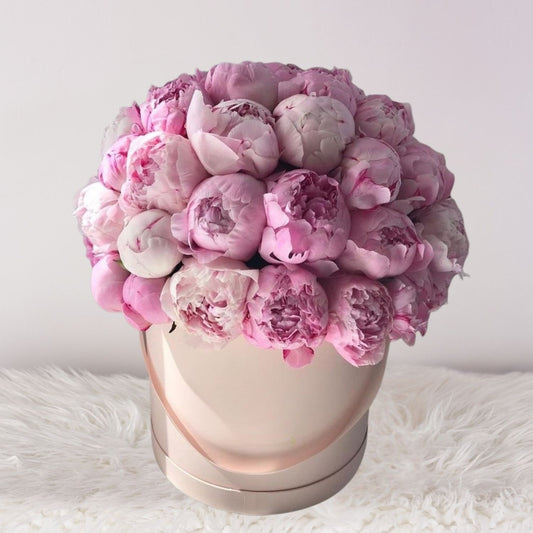 Box Adele - Box de peonias