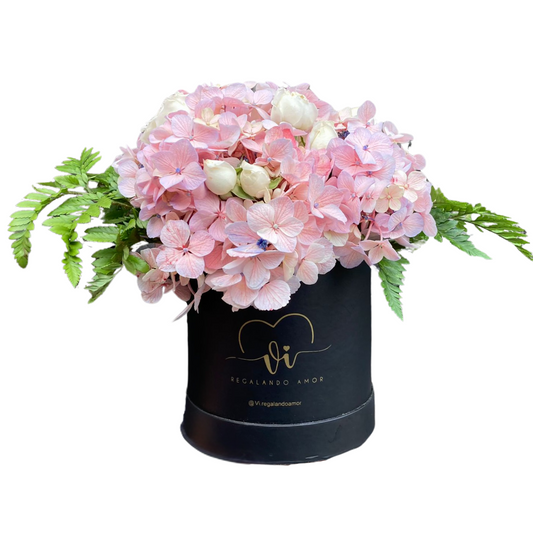 Box Hortencia - Flores rosadas - Mini Rosas