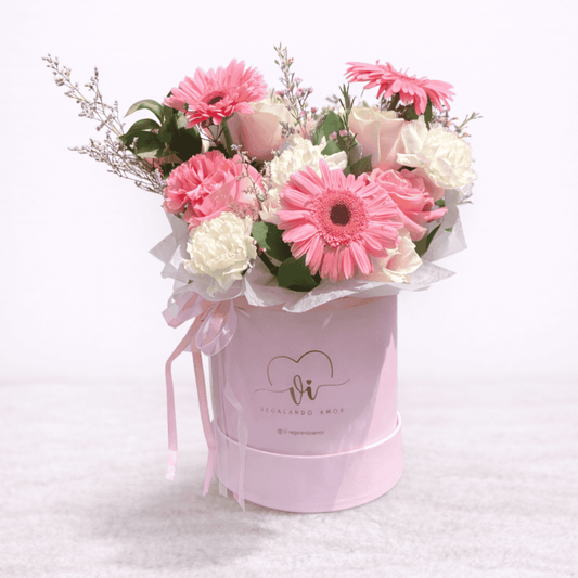Box Seraphine - Gerberas