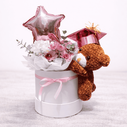 Box Aveline - Osito Peluche - Graduación