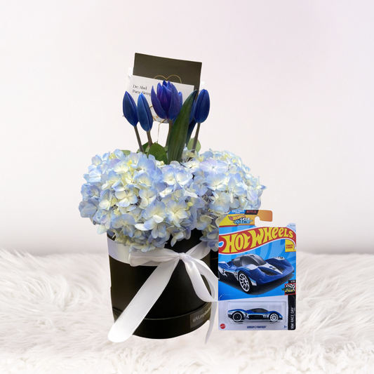 Box Ximena Azul + Carrito HotWheels