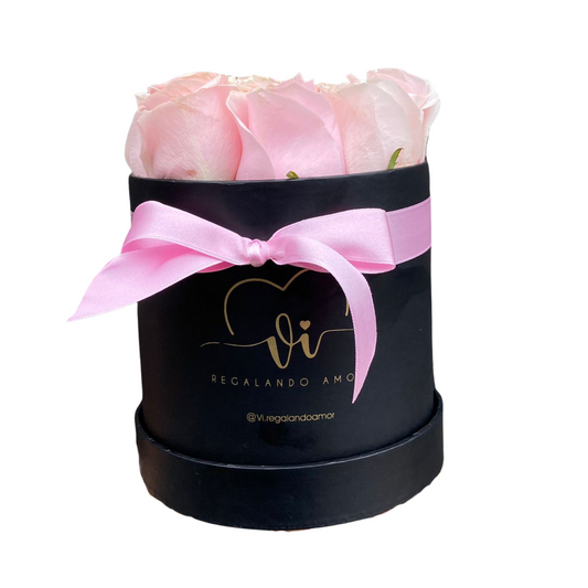 Box Clasico Pink Mundial