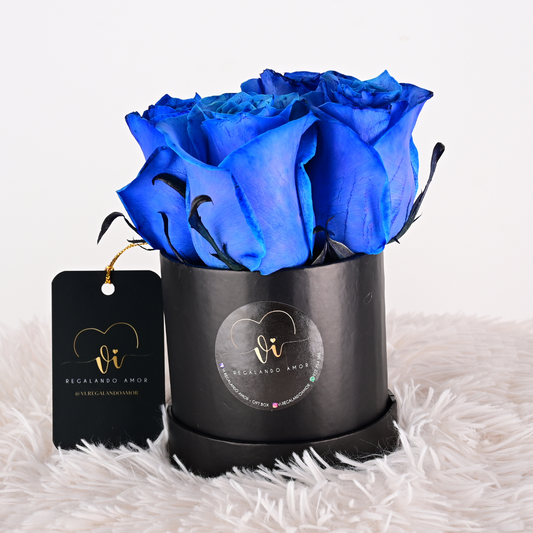 Mini Box de rosas azules 4 a 5 rosas