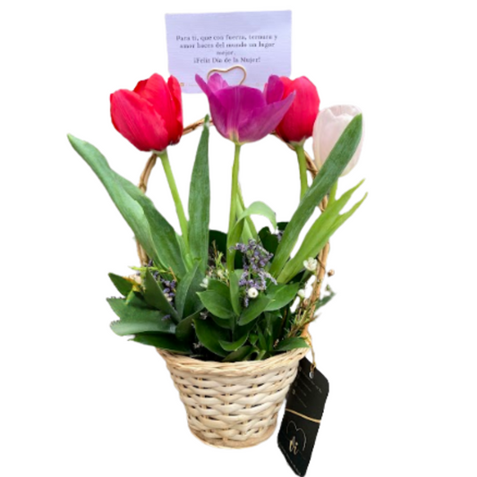 Mini Canasta Daysi de Tulipanes
