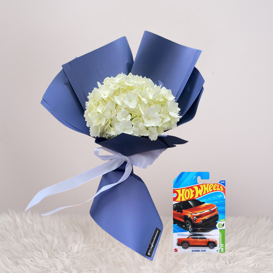 hortensia Blanco + Carrito hotweels