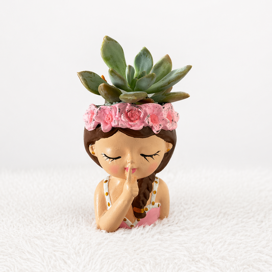 Maceta Moana - Suculenta