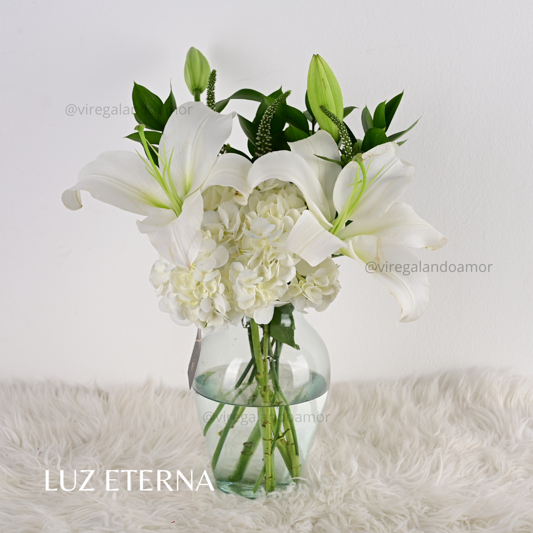 Luz eterna