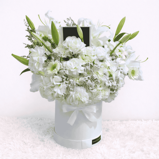 Box Snow – Elegancia Blanca