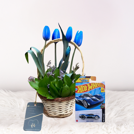 Mini Canasta Deysi + Carrito Hot Wheels